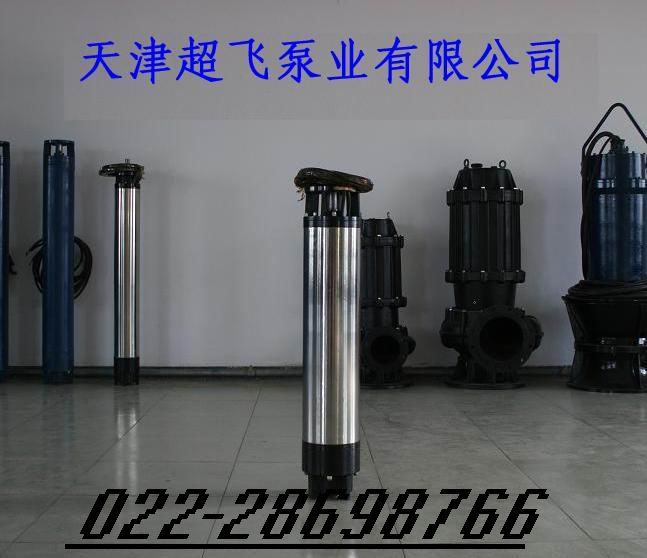 天津超飞热水潜水泵厂