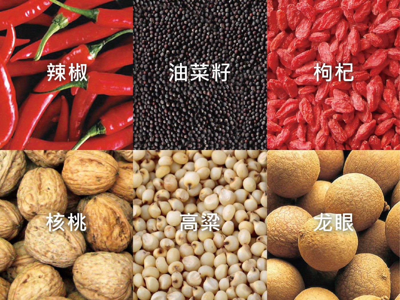 其他干燥物