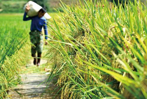 农业补贴项目那么多,每次政策的变化都依据什