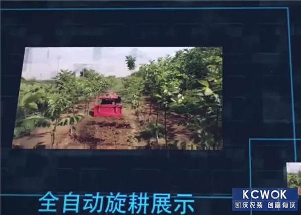 凯沃KWL-300多功能果园管理机